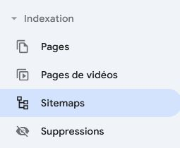 source : Google Search console - section indexation